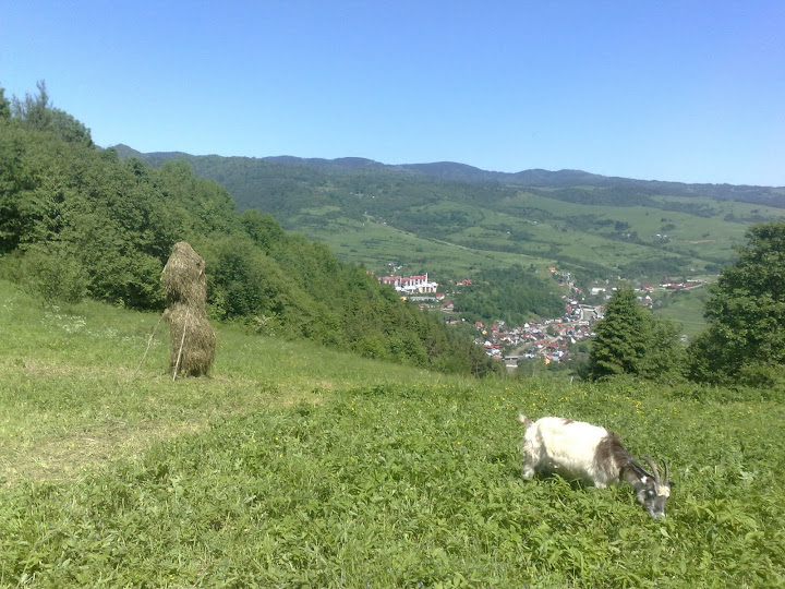 20100605157.jpg