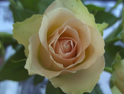 BILD0349