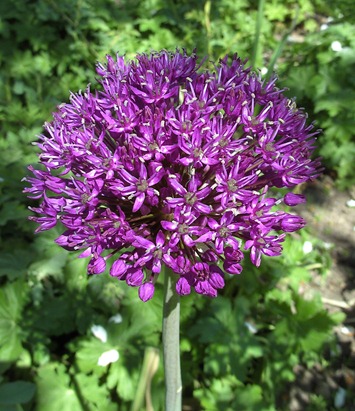 BILD0602