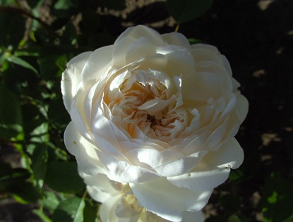 BILD0677