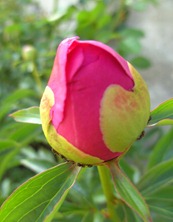 BILD0682