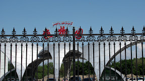 IMG_0003.JPG
