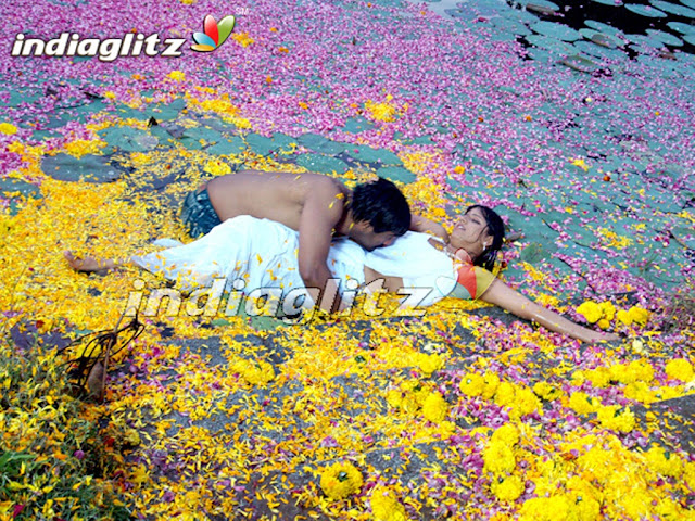 lovable malluwood girls photographs<br />
lovable malluwood girls photographs<br />
