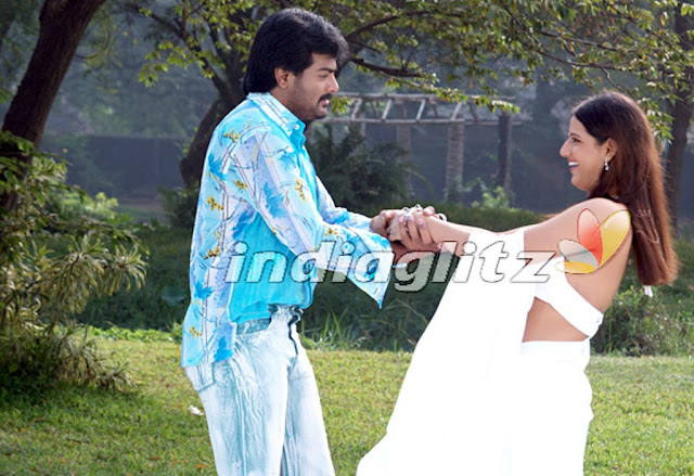 south indian stars photographs<br />
south indian stars photographs<br />