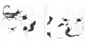 cats