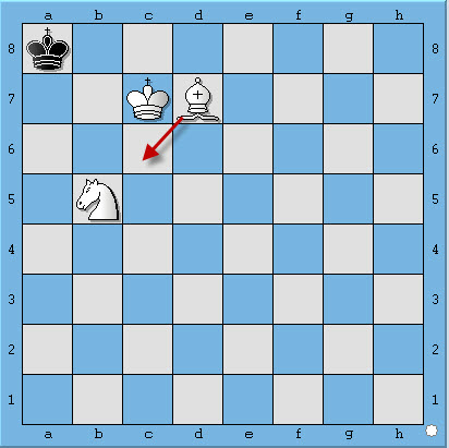 chiếu bí với tượng | học cờ vua | chess
