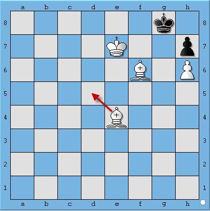 chiếu bí với tượng | học cờ vua | chess
