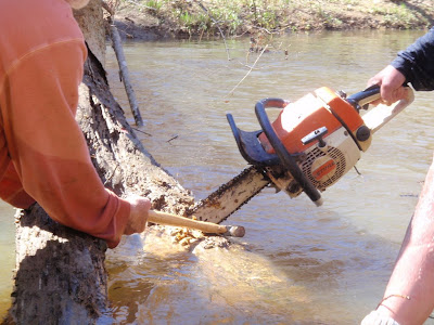 Chainsaw stuck in the log