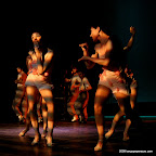 IMG_0486.JPG