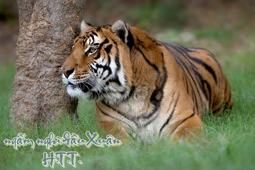 http://lh4.ggpht.com/_6nktQOihaMo/S21Ge7U3wOI/AAAAAAAAJZA/CDbWCbYrSXc/CRW_9077.jpg