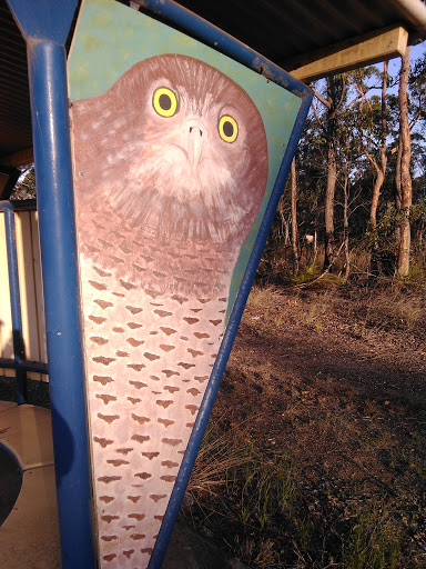 Powerful Owl Bus Stop
