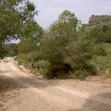 PICT7871.JPG