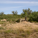 PICT8029.JPG