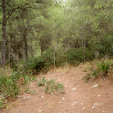 PICT8106.JPG