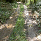 PICT8147.JPG