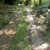PICT8148.JPG