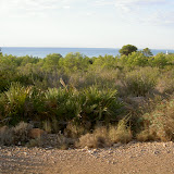 PICT8176.JPG