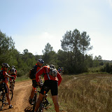 PICT8236.JPG