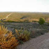 PICT8232.JPG