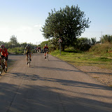 PICT8257.JPG