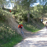 PICT8266.JPG