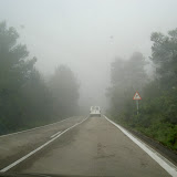 PICT8333.JPG