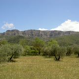 PICT8344.JPG