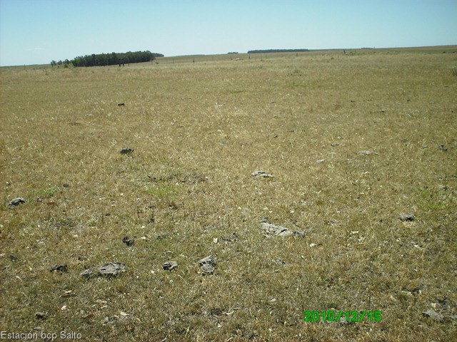 [PICT003612.jpg]