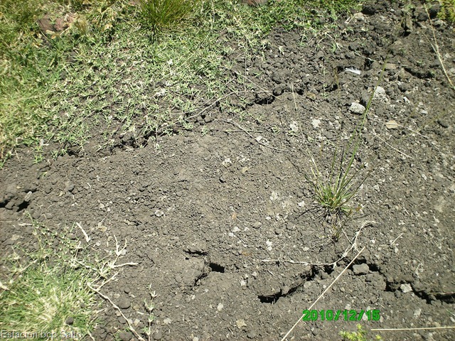 [PICT000214.jpg]