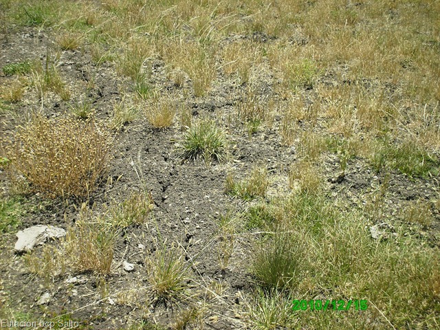 [PICT000814.jpg]