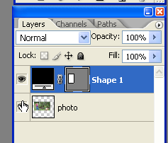 [image[59].png]
