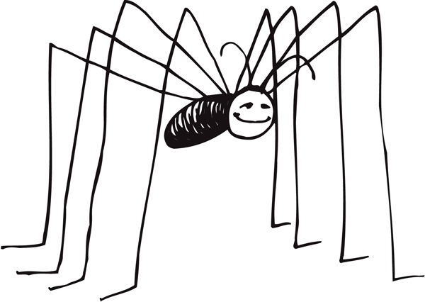 [spider[7].jpg]