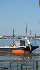 P1010188.JPG