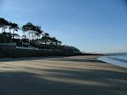 DELLOY 9.JPG