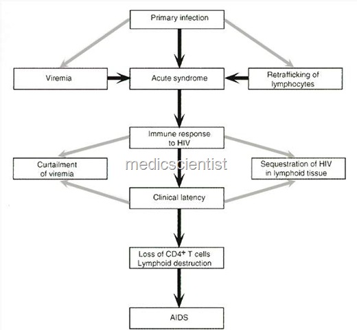 [Clinical features and Course of HIV infection aesd[2].jpg]