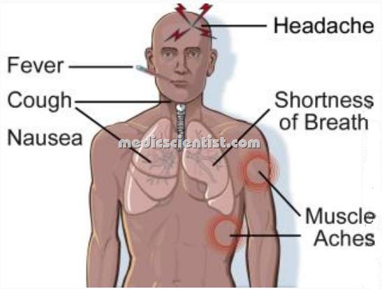 [Clinical featuresk[2].jpg]