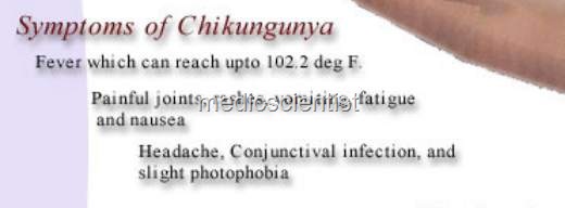 [Chikungunyaoi[2].jpg]