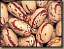fagioli - beans_cranberry
