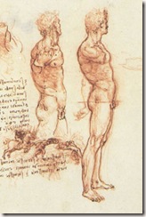 leonardo-da-vinci-study-man