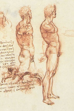 [leonardo-da-vinci-study-man[4].jpg]