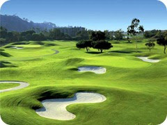 Gold Course Gold Course