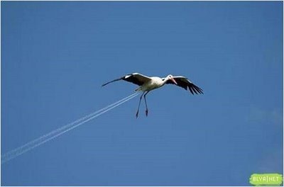 [image019[2].jpg]