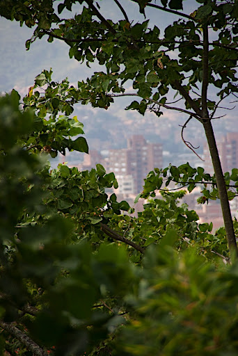 The city in the valley below