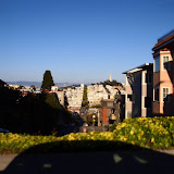 P4110423.JPG