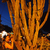 P5072250.JPG