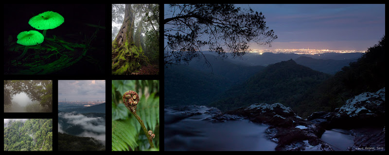 IMAGE: http://lh4.ggpht.com/_6vdPqp2Fxq4/S0e5ZfM7lHI/AAAAAAAABy8/B3ul1Grc7Kc/s800/20100107-07-Summary-web.jpg