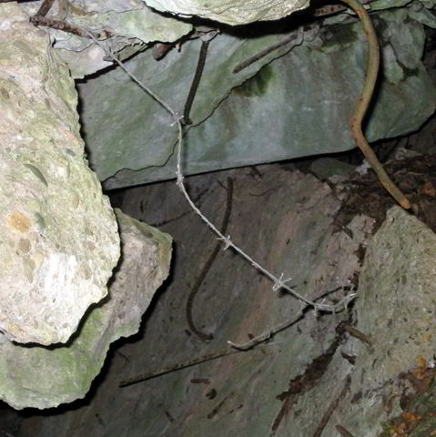 [Copy of Part of Hitlers bunker[4].jpg]