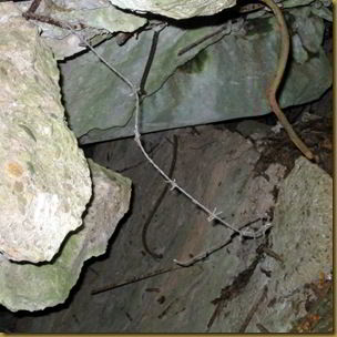 Copy of Part of Hitlers bunker