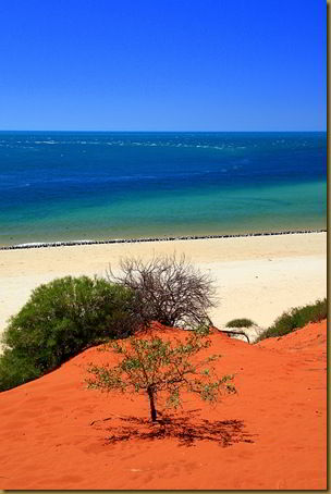 Red sand and sea - Francois Perron National Park - Western Australia - Australia