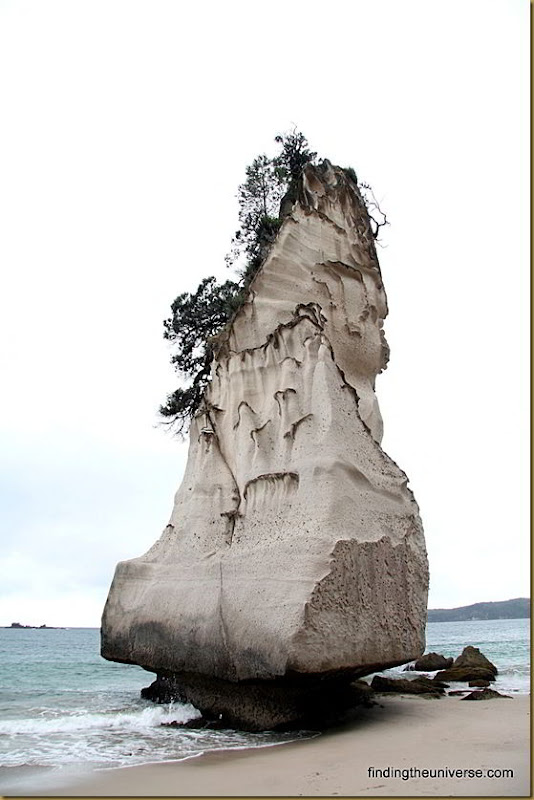 Awesome looking rock at Cathedral Cove - Coromandel Peninsula